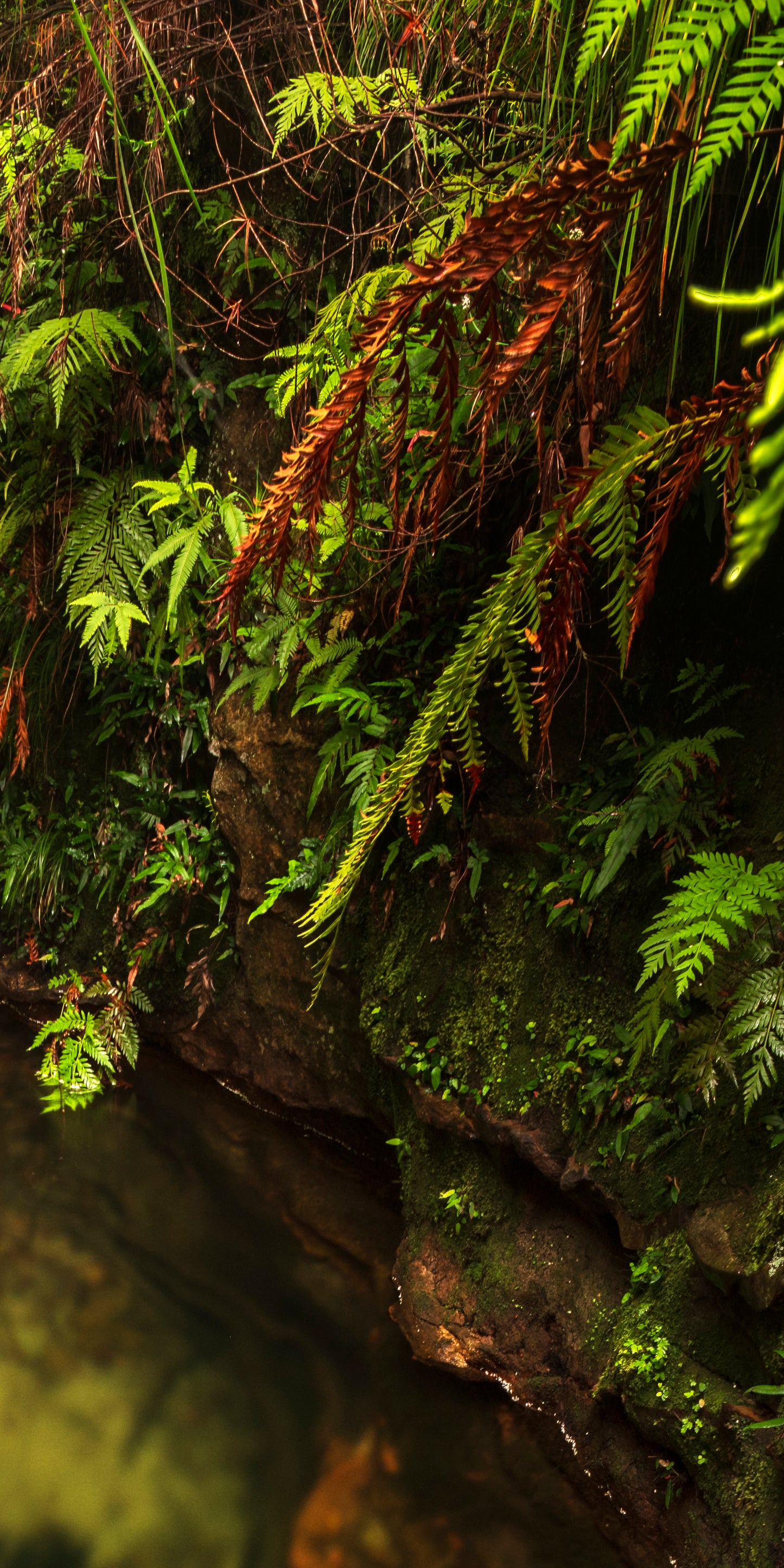 "Dalpura Serenity Pool" - Original Australian PanoScape Fine Art Photograph