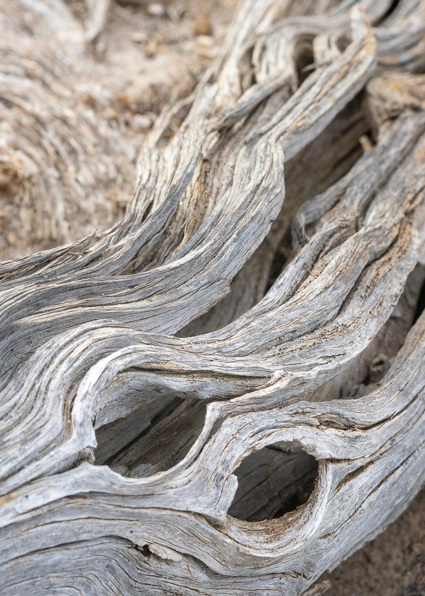 Ghostwood Curves