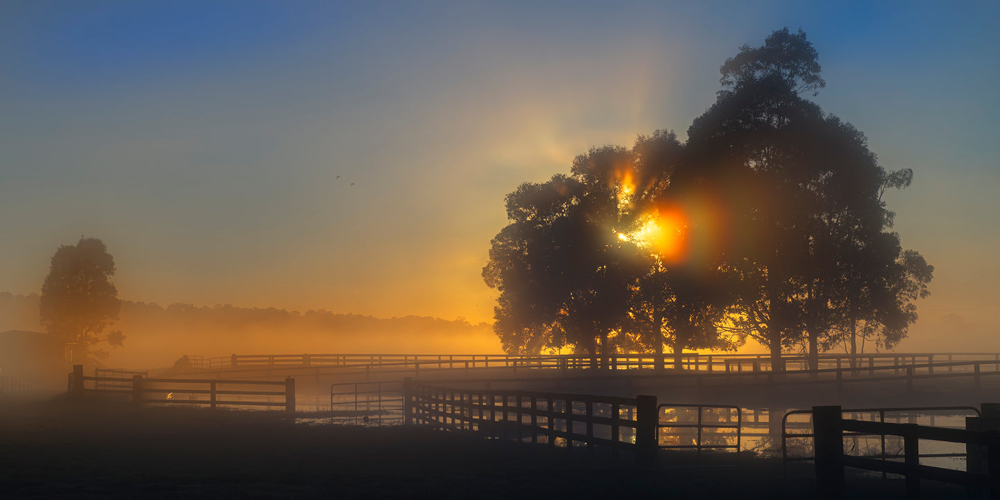 "Golden Sunrise Burst" - Original Australian PanoScape Fine Art Photograph