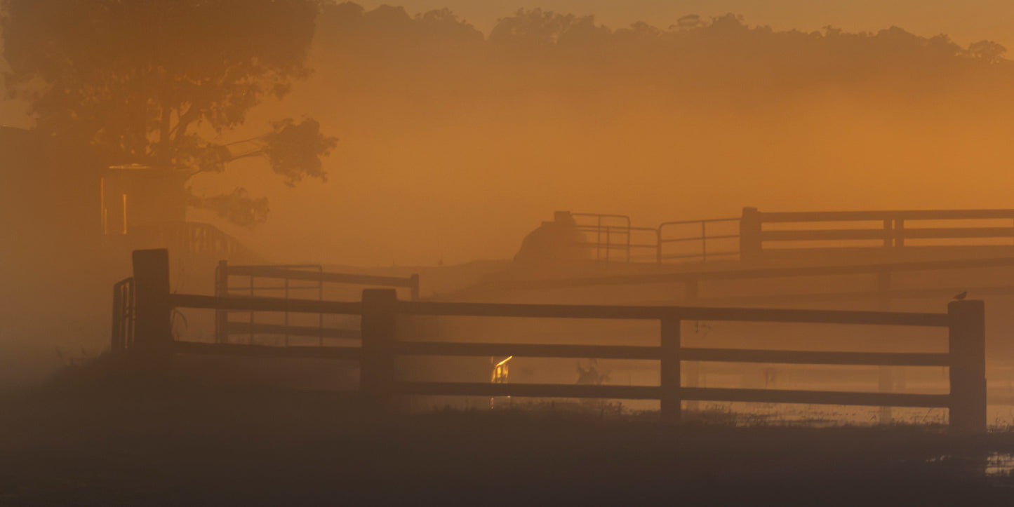 "Golden Sunrise Burst" - Original Australian PanoScape Fine Art Photograph