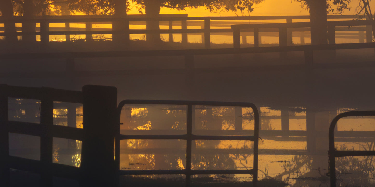 "Golden Sunrise Burst" - Original Australian PanoScape Fine Art Photograph