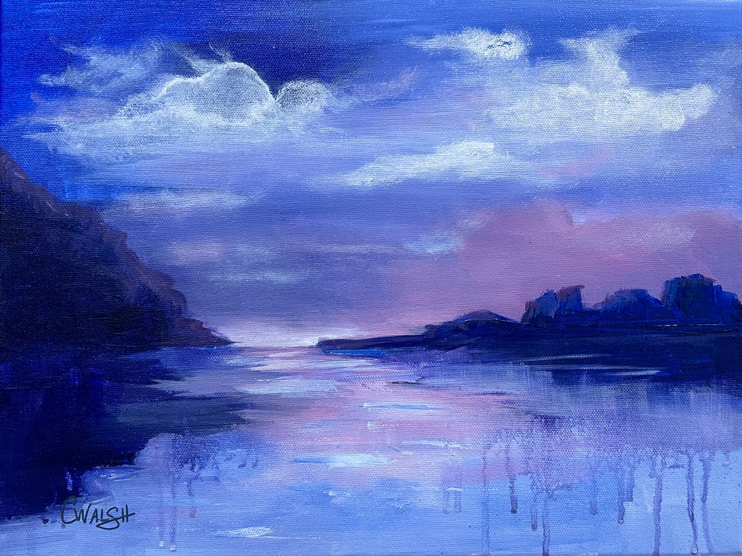 Embers of a Moonlit Soul