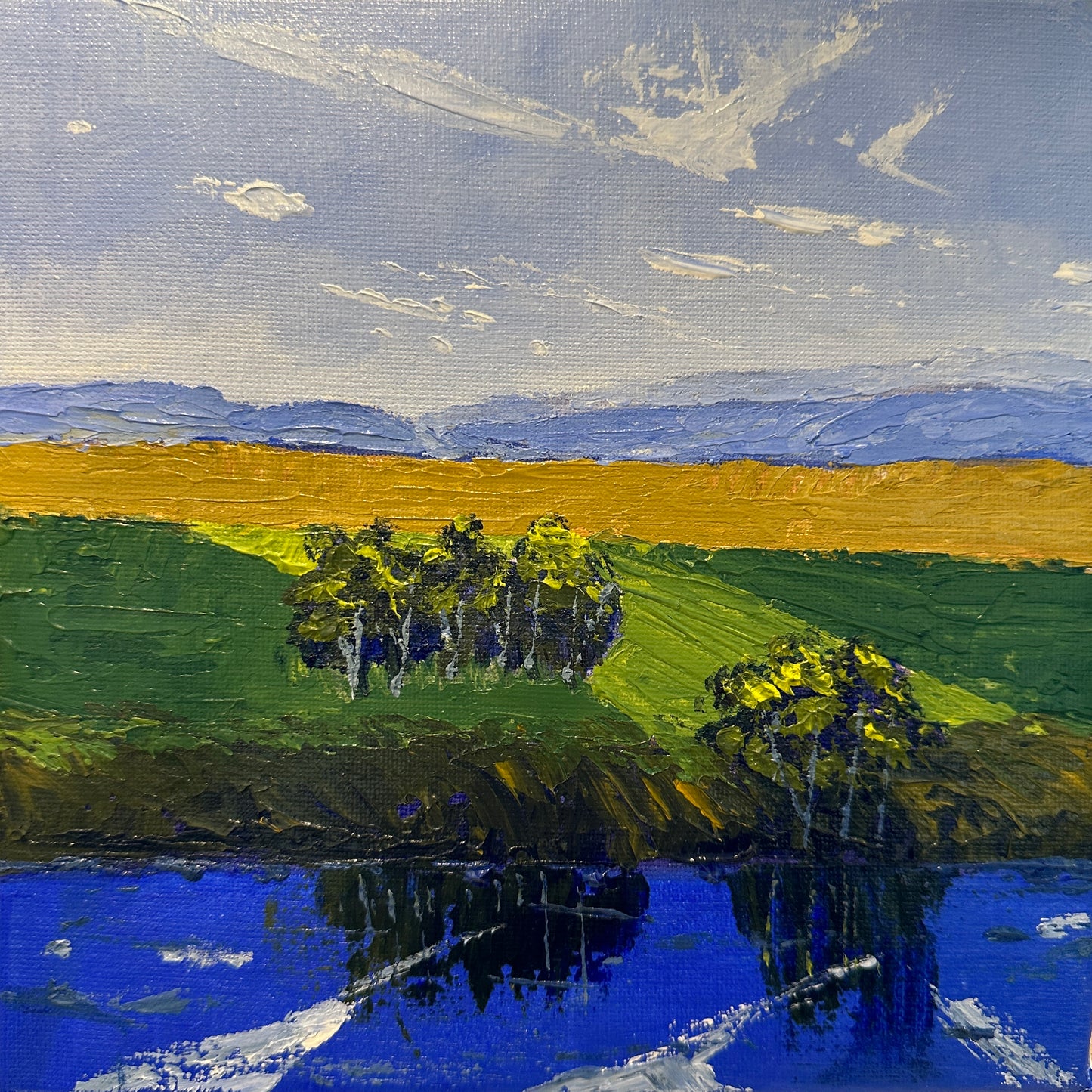 Lowlands Pastures