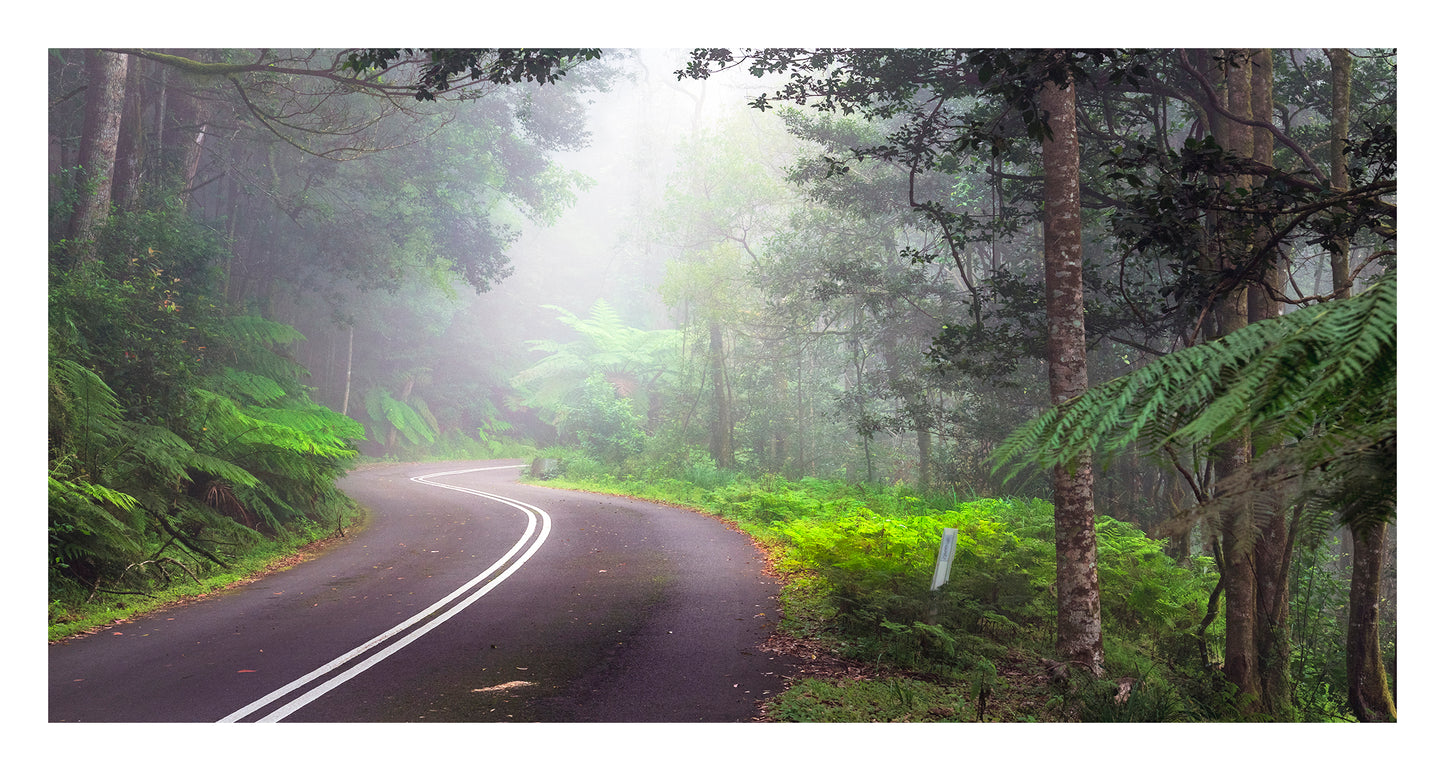 "Misty Road on Mt Wilson" - Original Australian PanoScape Fine Art Photograph