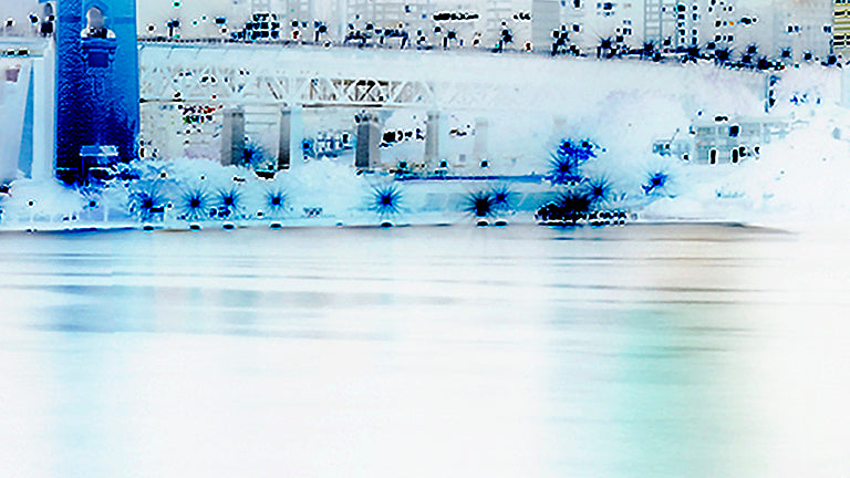 Pandemic Harbour - Limited Edition of 5 Prints