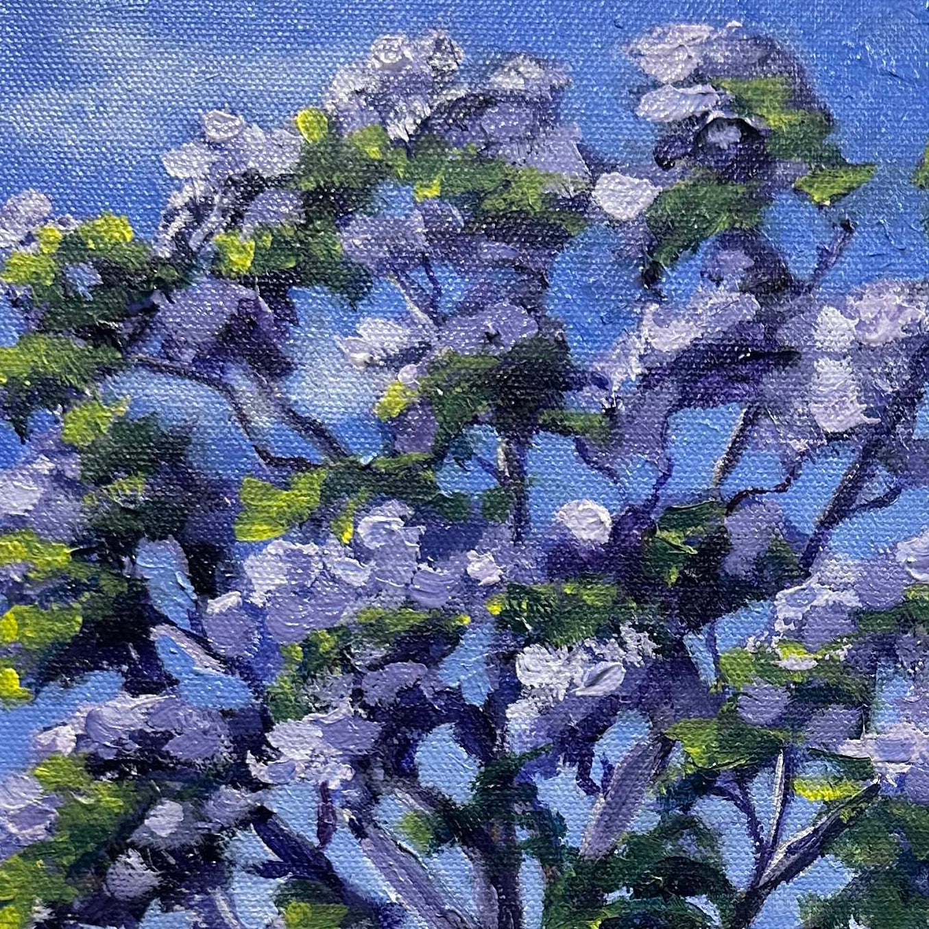 Purple Haze