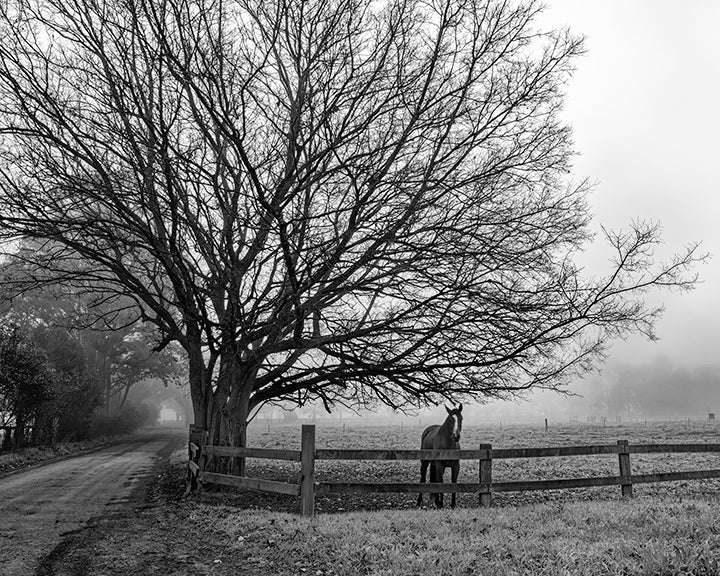 "Richmond Back Road" - Original Australian Fine Art Photograph