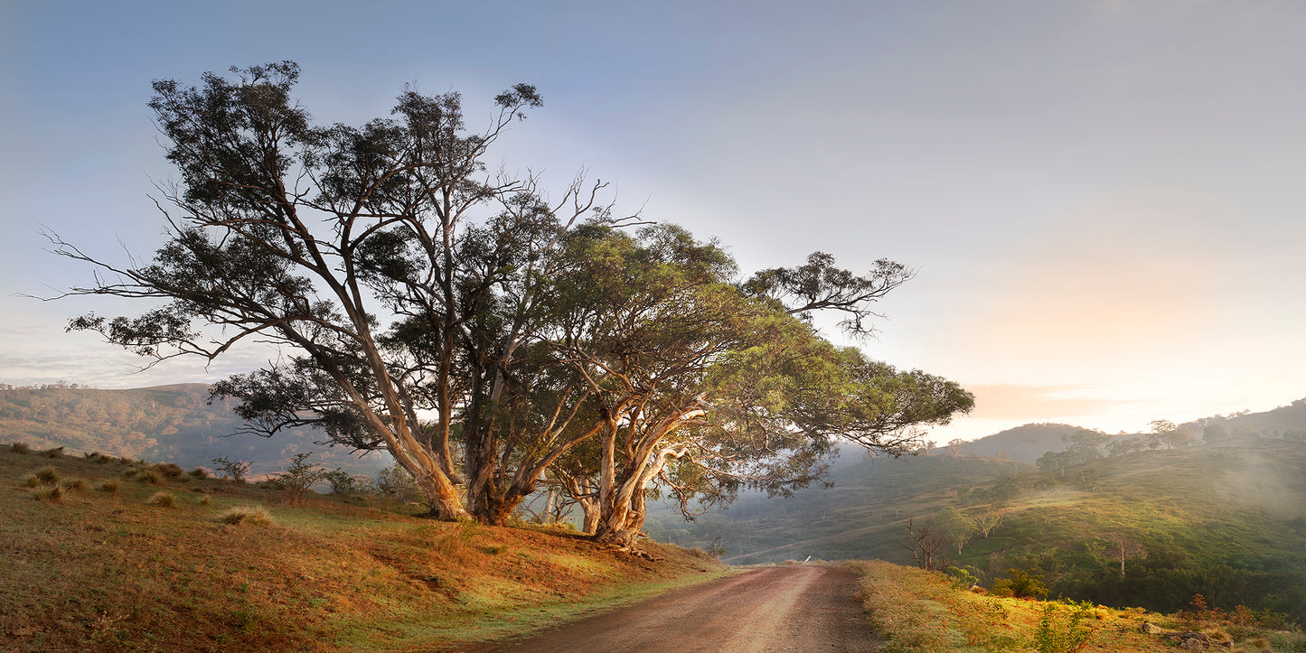 "Sunrise Country Drive" - Original Australian PanoScape Fine Art Photograph