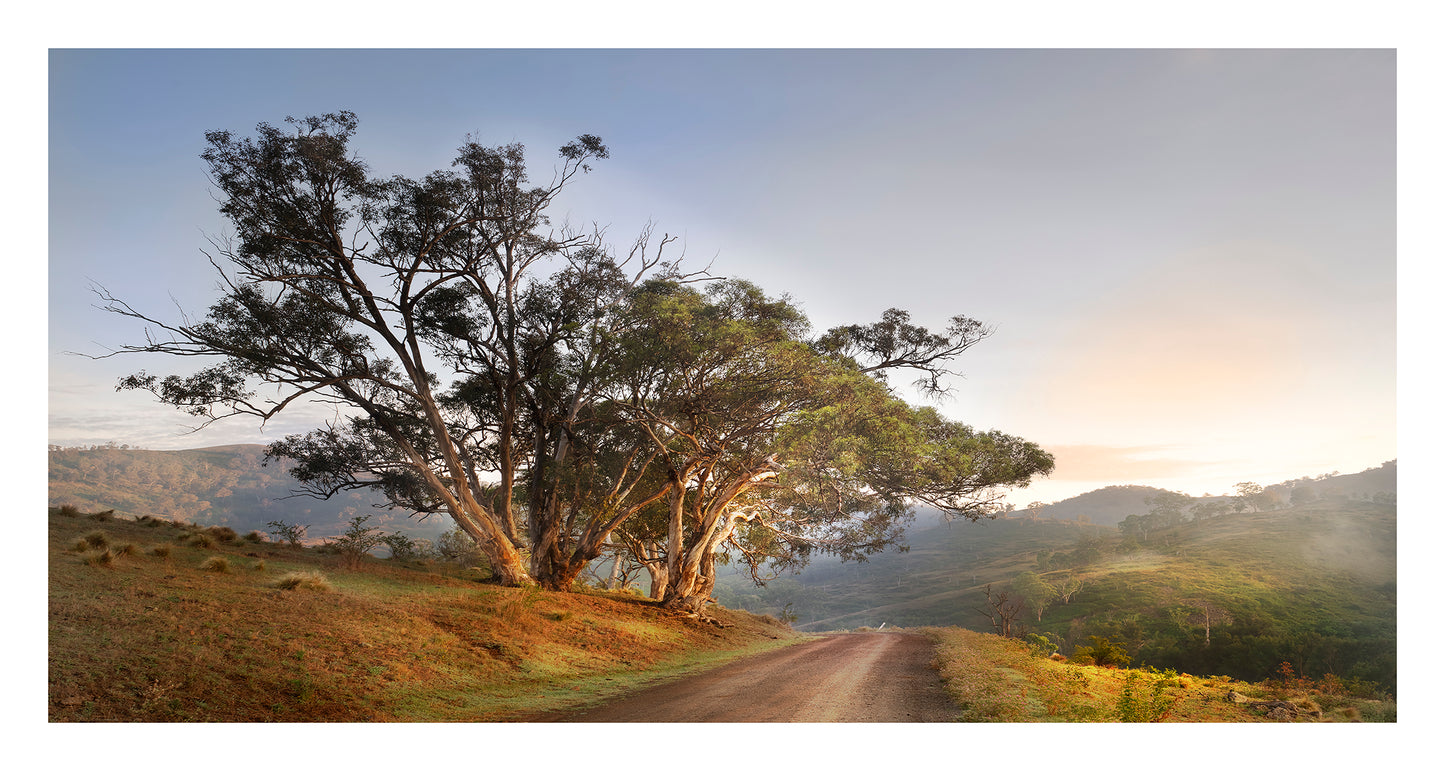 "Sunrise Country Drive" - Original Australian PanoScape Fine Art Photograph