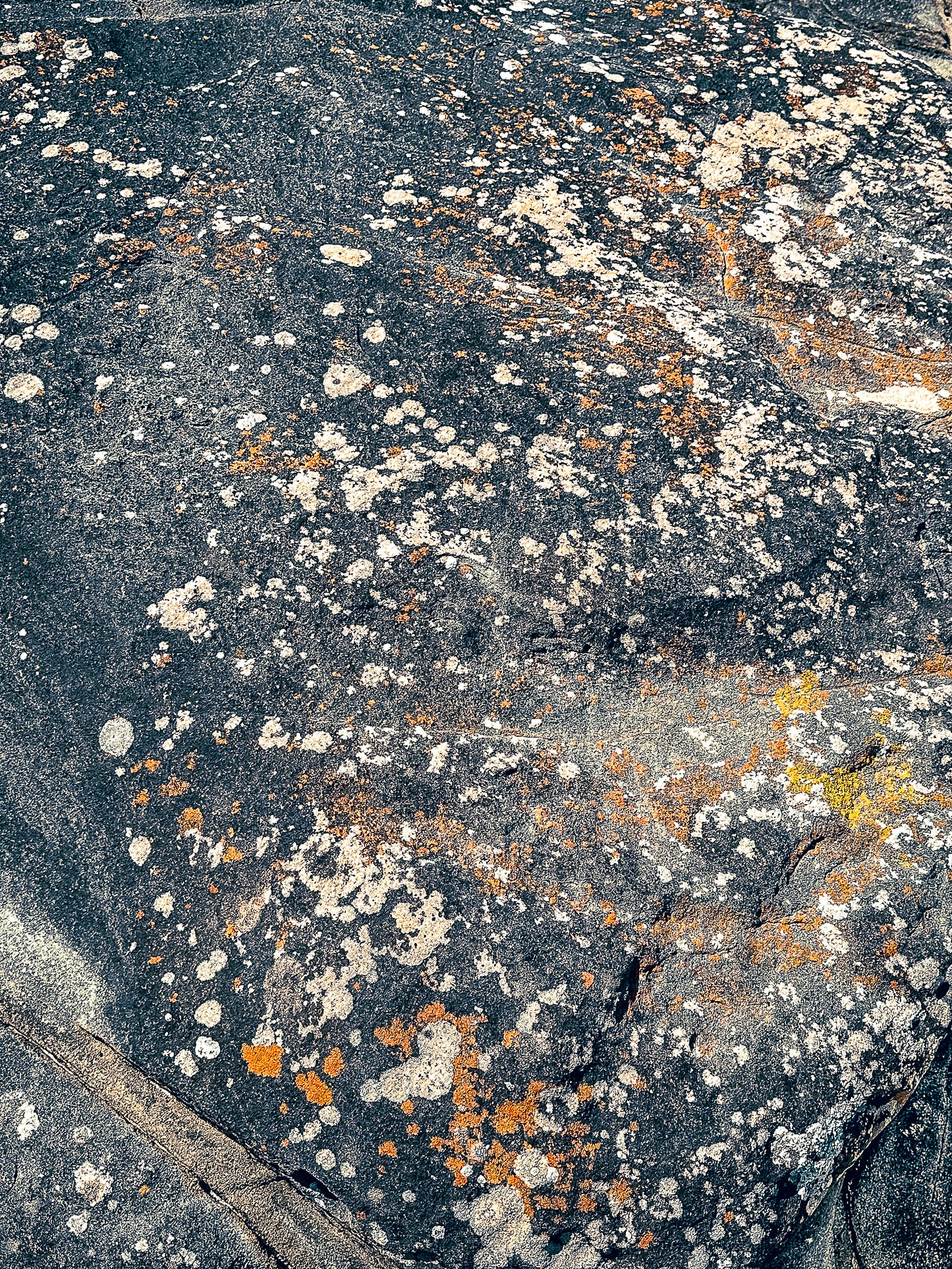 Tidal Textures