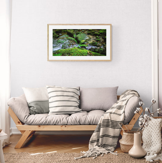"Happy Fern and Water" - Original Australian PanoScape Fine Art Photograph