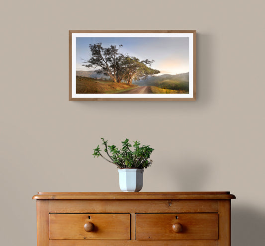 "Sunrise Country Drive" - Original Australian PanoScape Fine Art Photograph