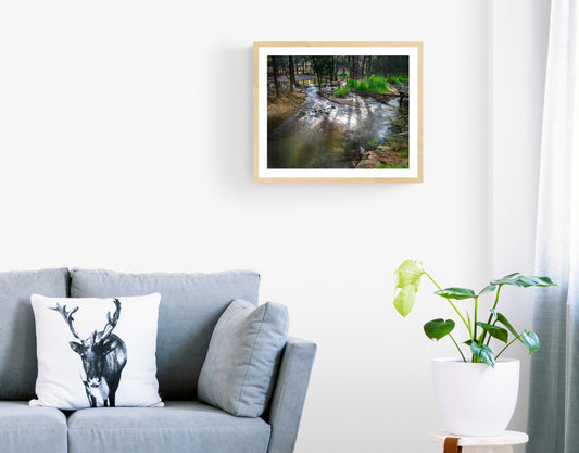 "Hidden Turon Gem" - Original Australian Fine Art Photograph