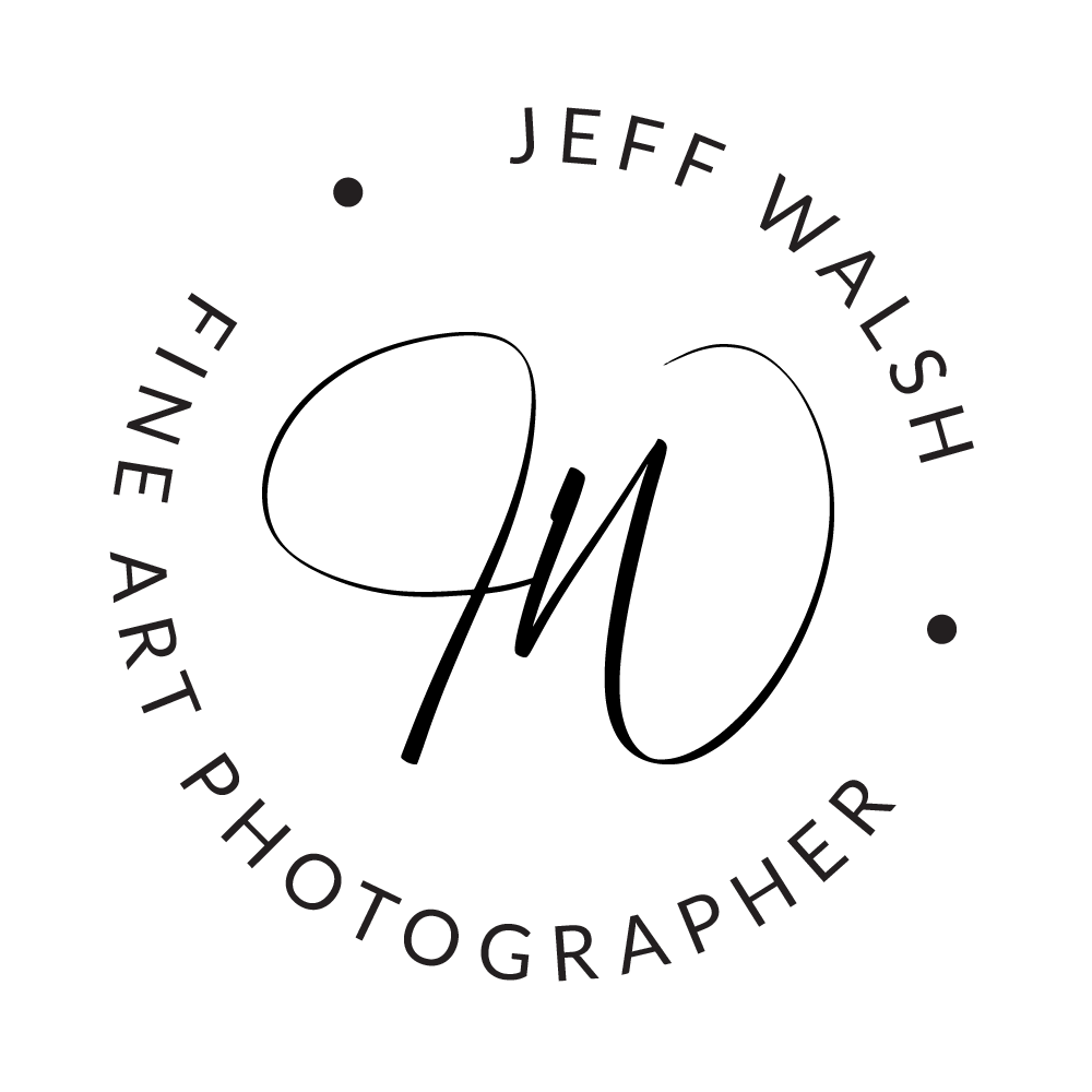"Light Brings Life" - Original Australian Fine Art Photograph