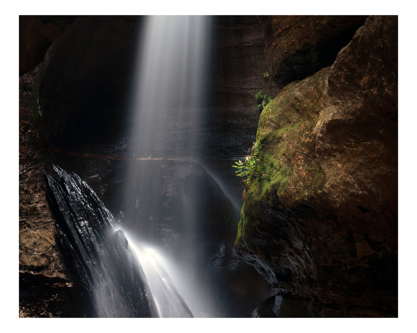 "Light Brings Life" - Original Australian Fine Art Photograph