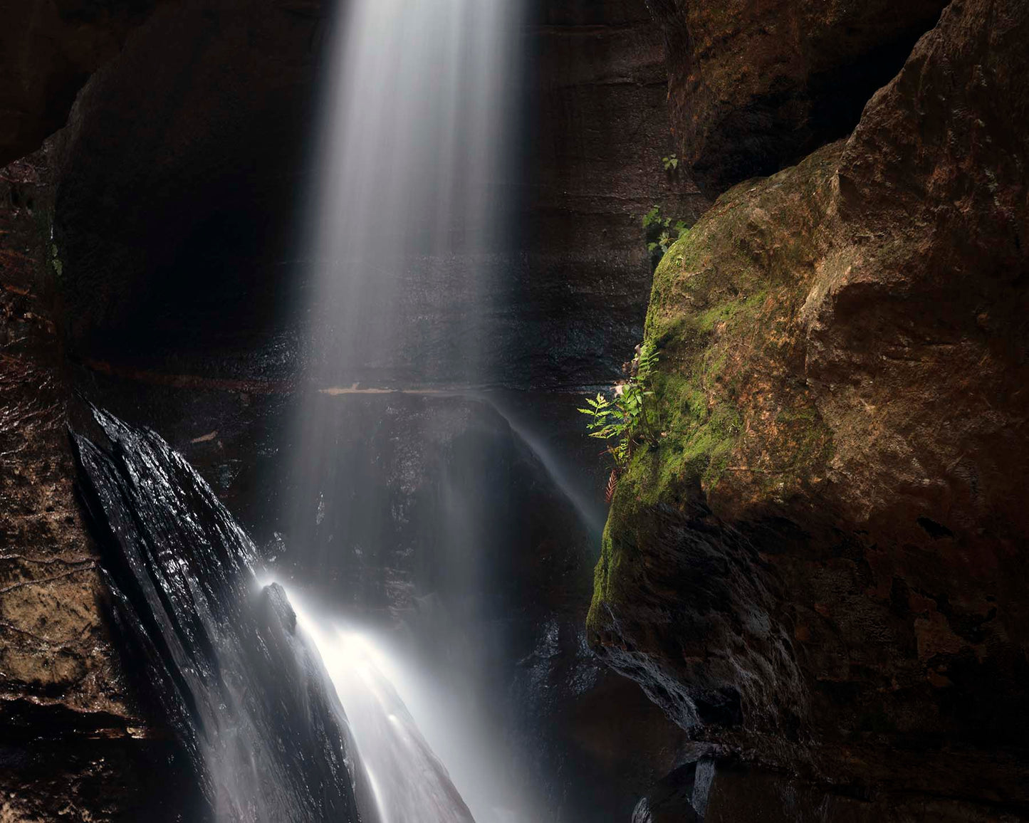 "Light Brings Life" - Original Australian Fine Art Photograph