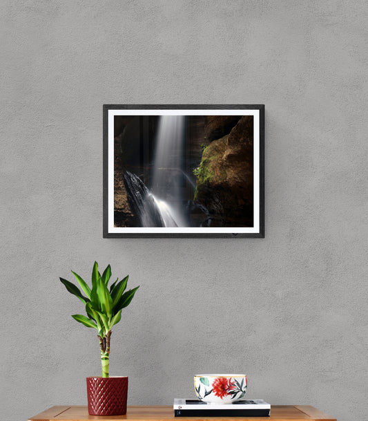 "Light Brings Life" - Original Australian Fine Art Photograph