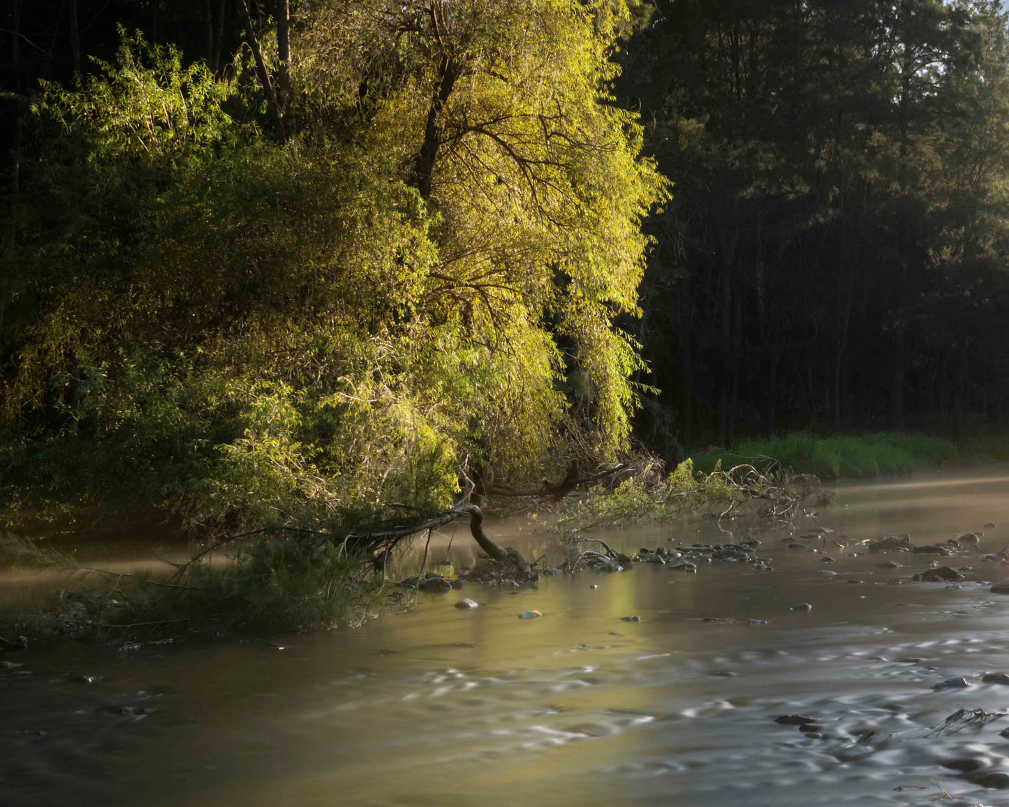 "Turning Turon Autumn" - Original Australian Fine Art Photograph