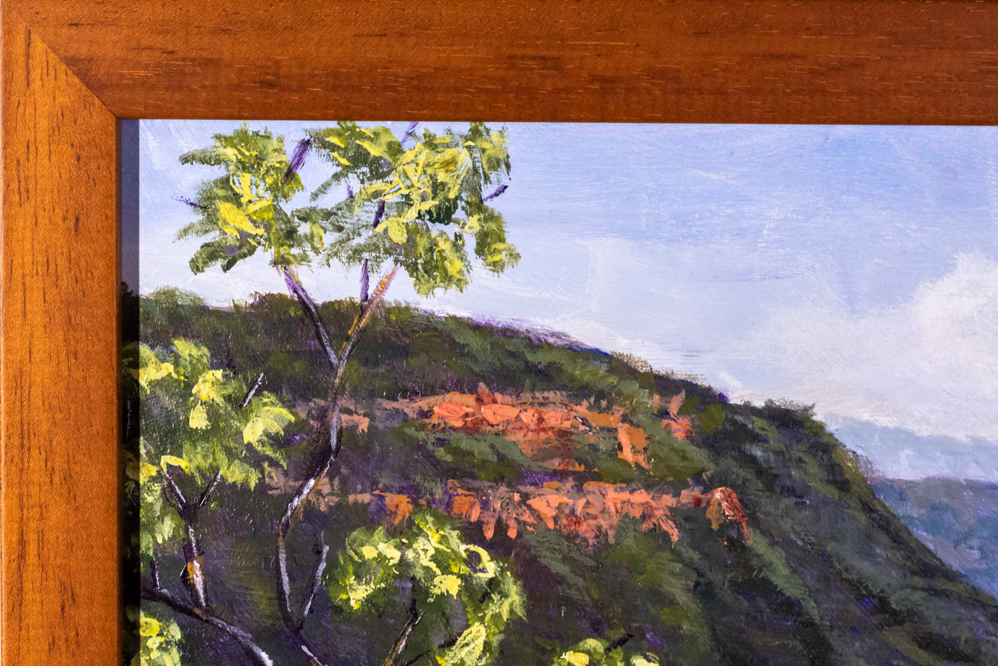 Vale of Avoca View