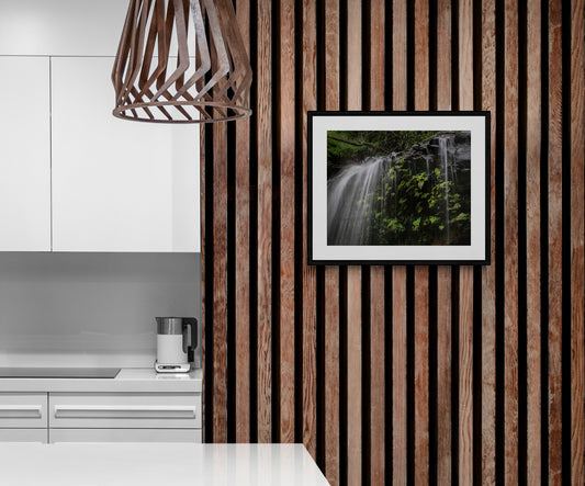 "Veil of Ferns" - Original Australian Fine Art Photograph