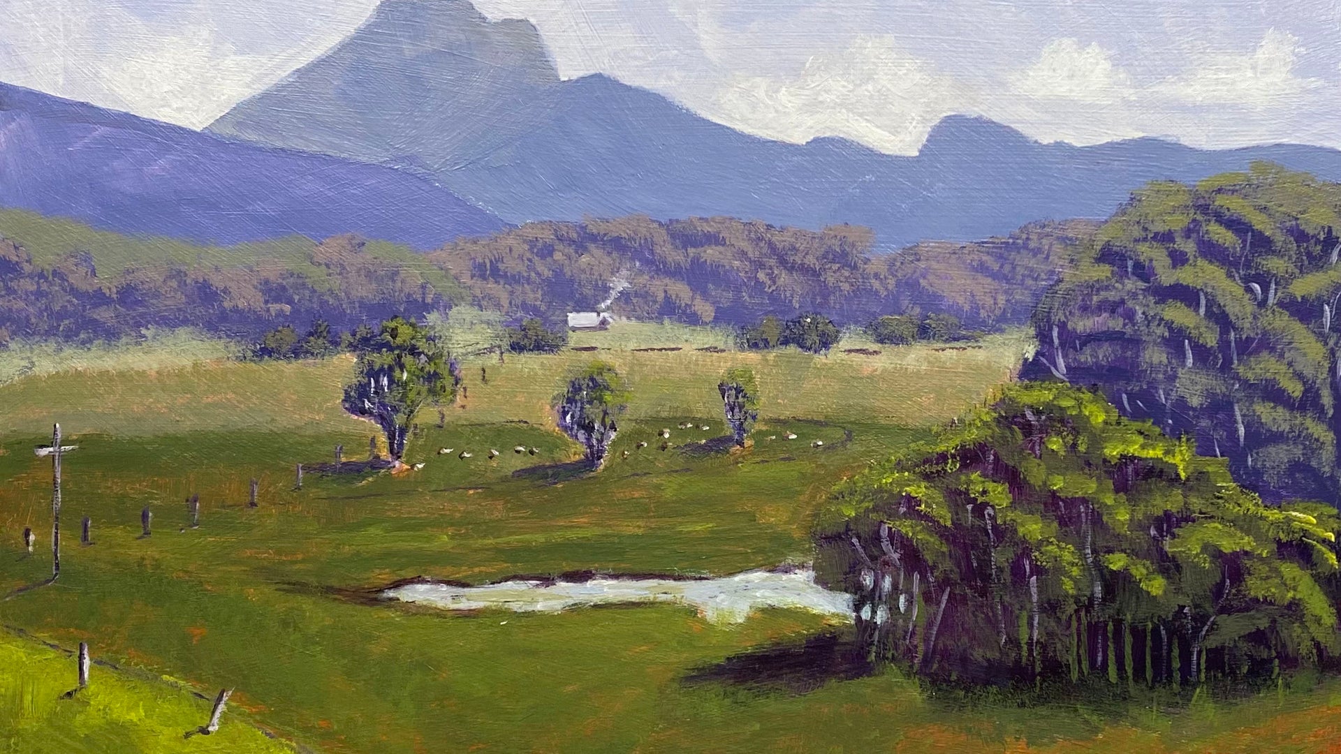 Queensland Wanderings