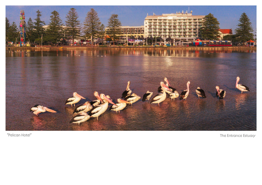 Pelican Hotel — photograph by Jeff Walsh Photographer, supplied for the 2027 Central Coast Calendar