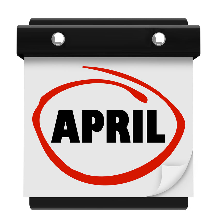 Capture & Create: Your First Steps in Photography Workshop