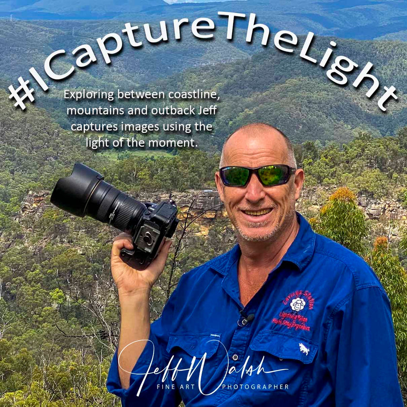 Happy Fern and Water