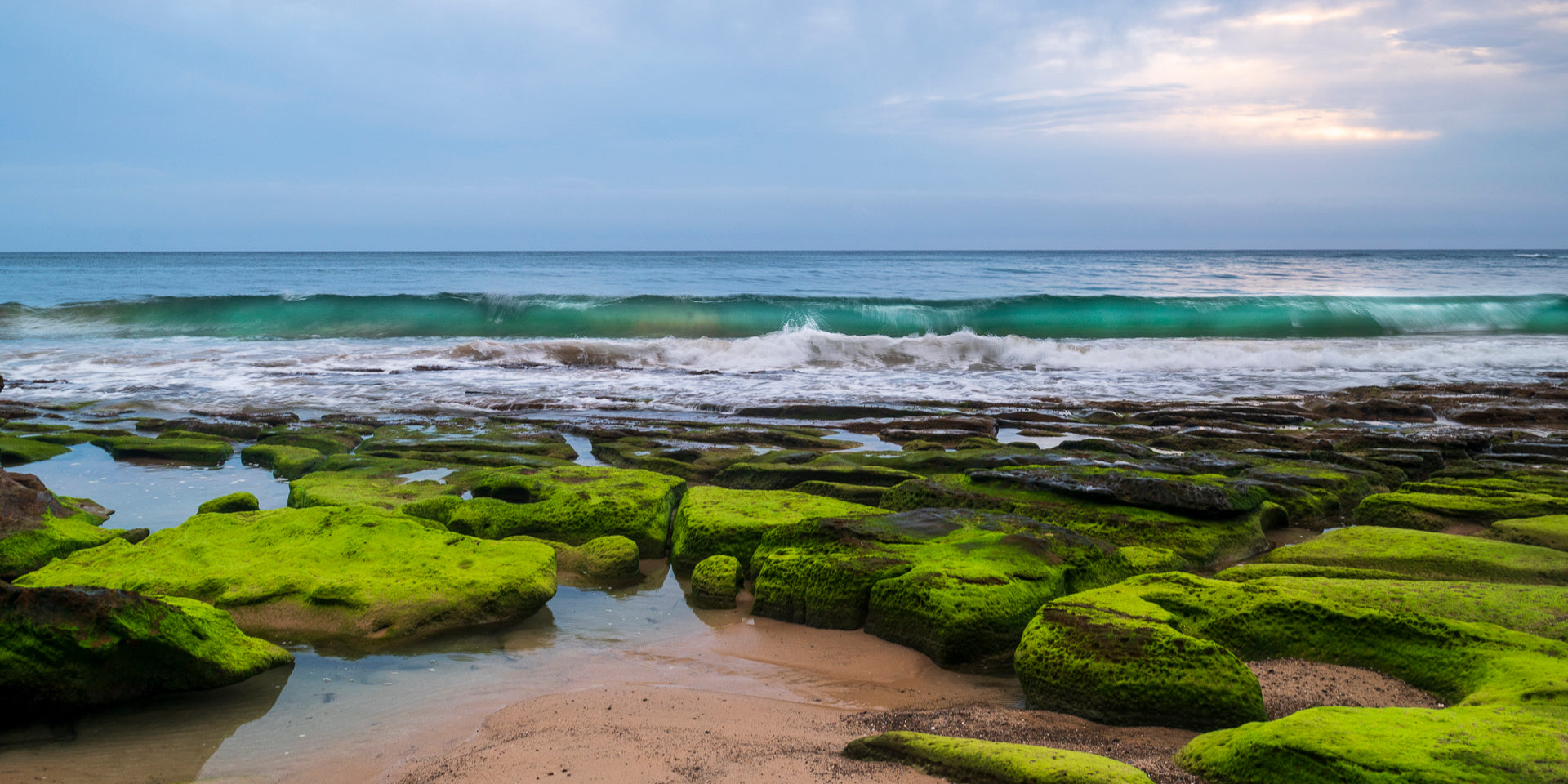 Coastal Greens