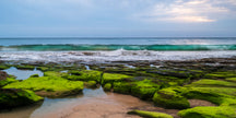 Coastal Greens