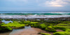Coastal Greens