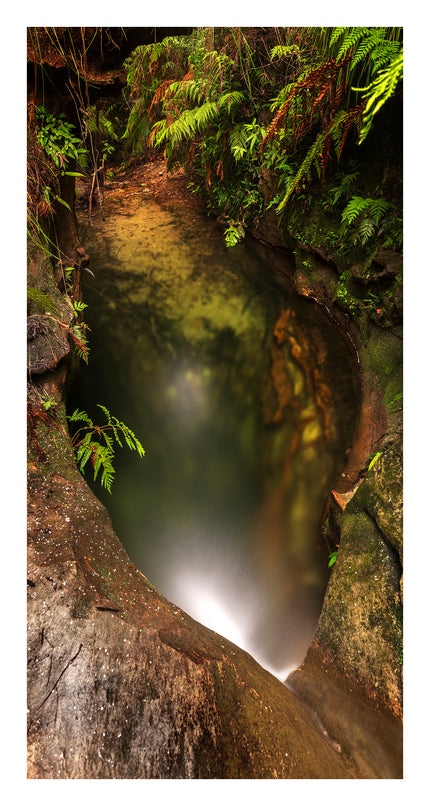Dalpura Serenity Pool