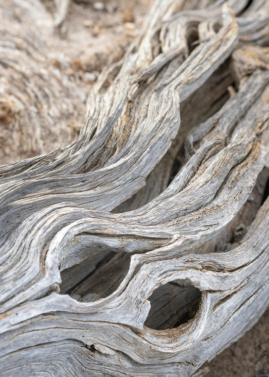 Ghostwood Curves