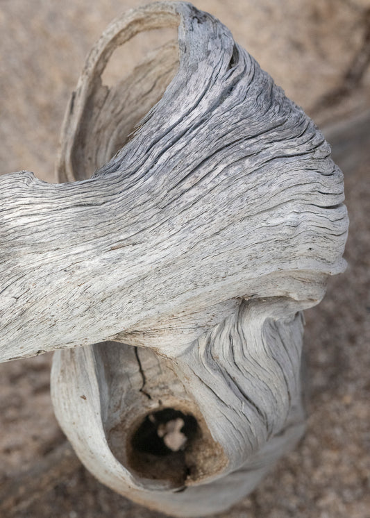 Ghostwood Knot