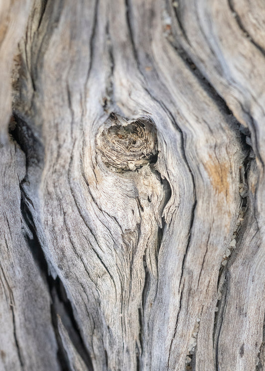 Ghostwood Veins