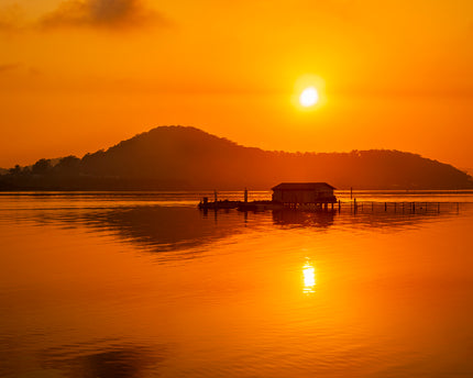 Golden Reflection