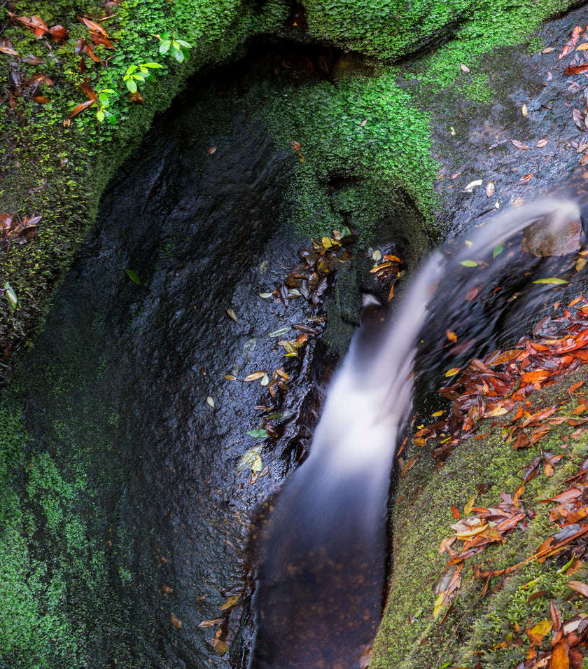 Hidden Gem - Limited Edition