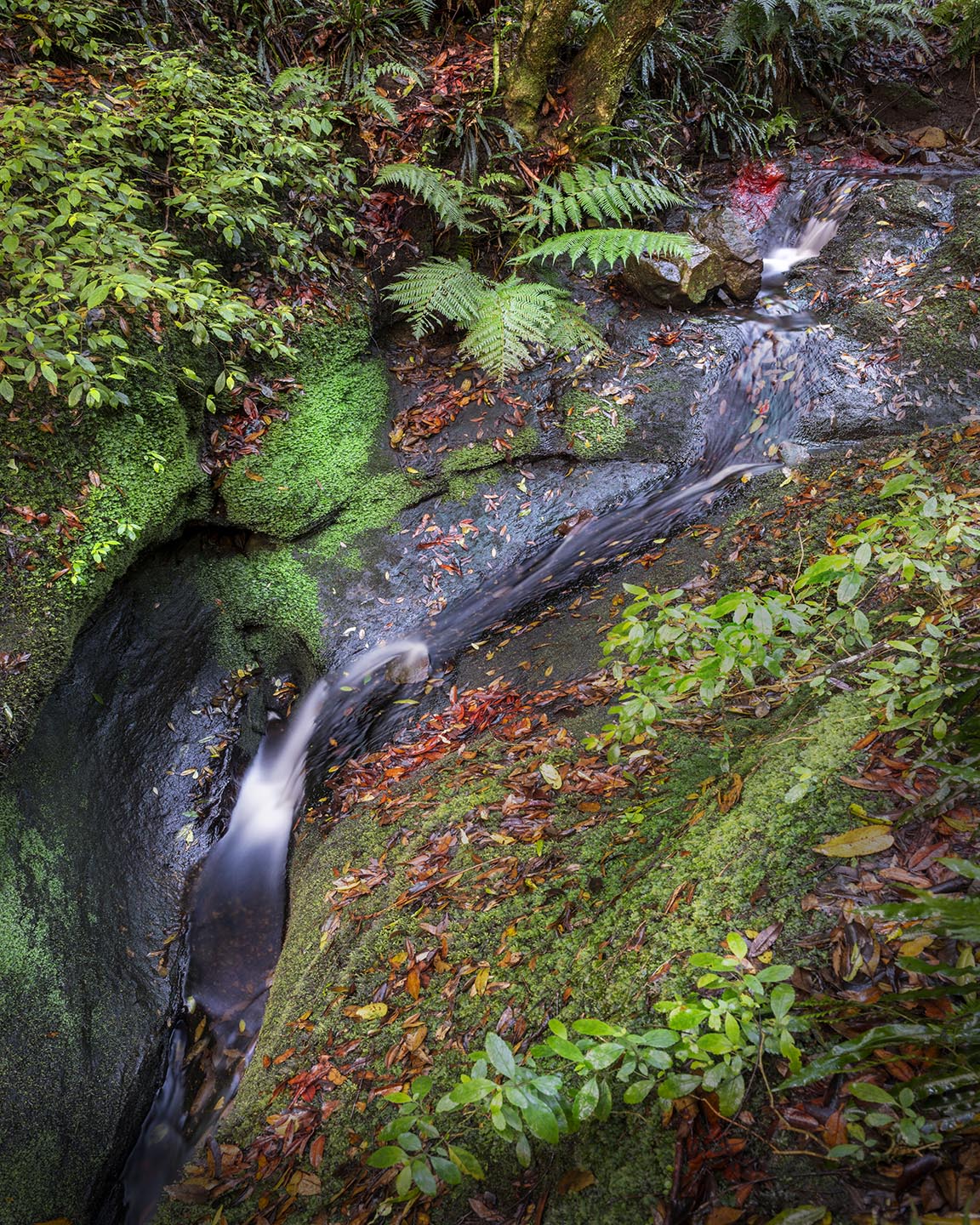 Hidden Gem - Limited Edition