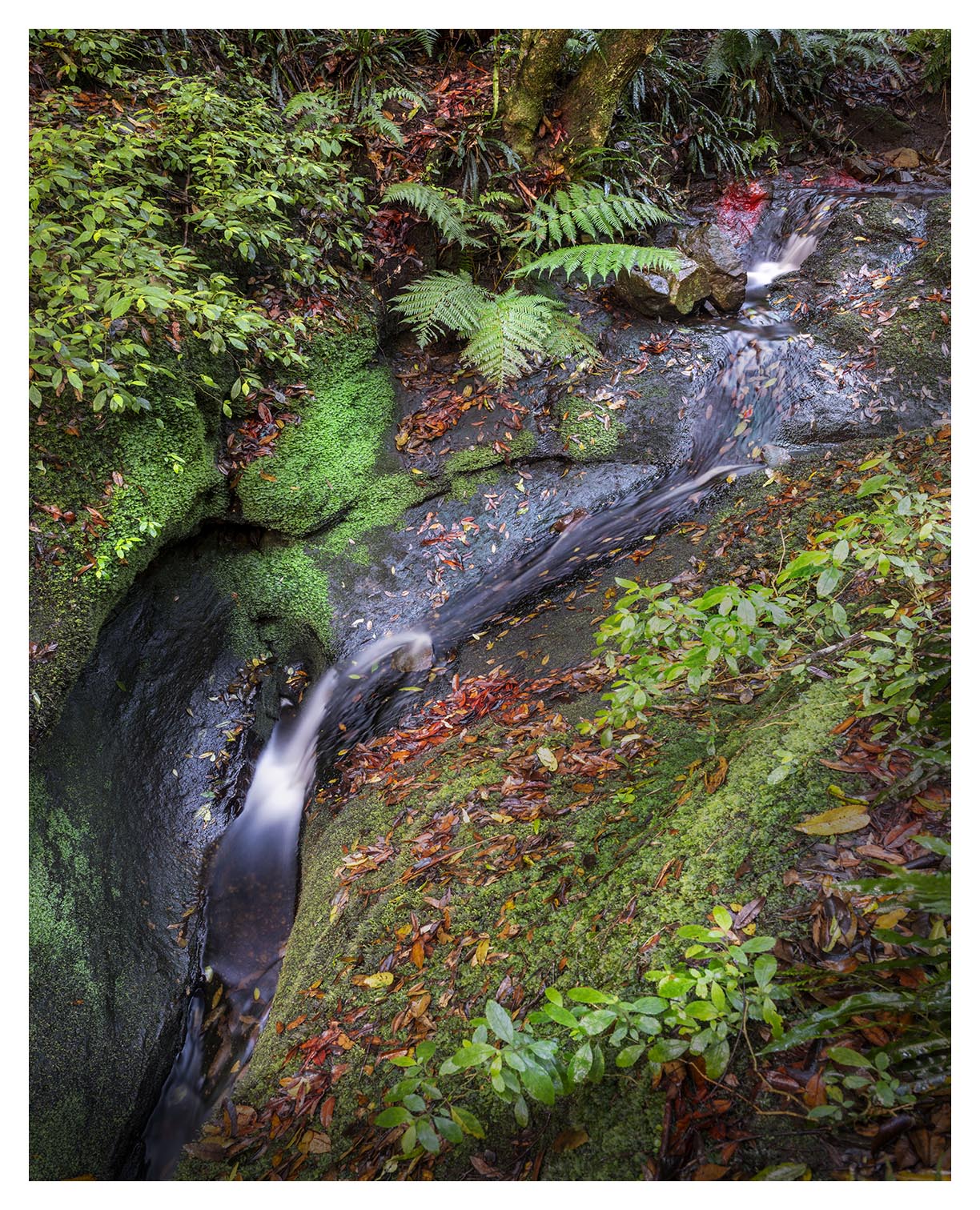 Hidden Gem - Limited Edition