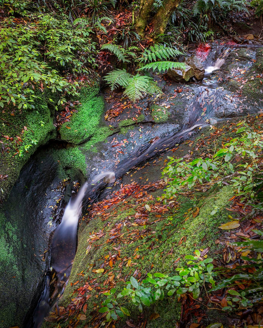 Hidden Gem - Limited Edition