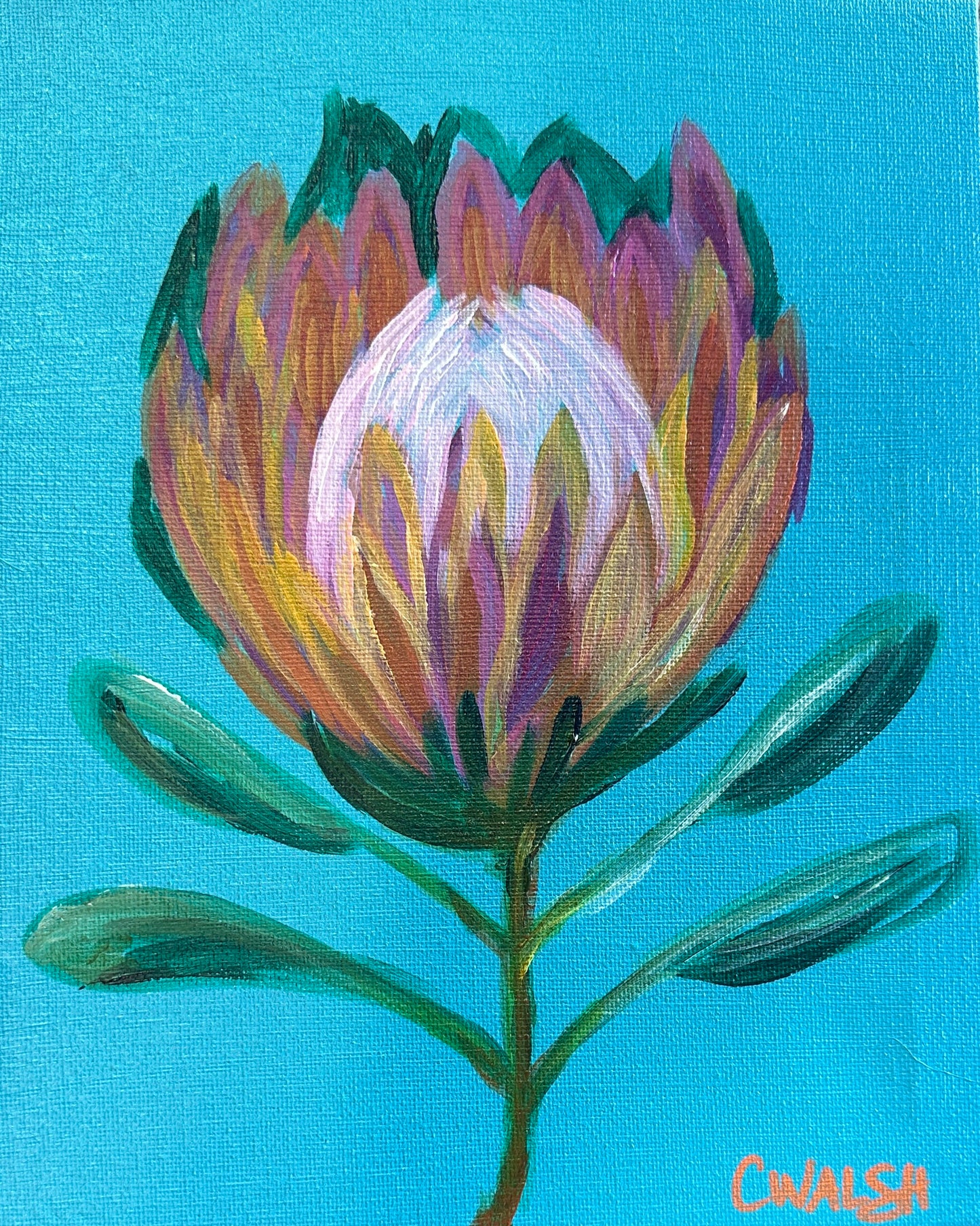 "Protea in Bloom" Acrylic on Canvas - 20cm x 25cm
