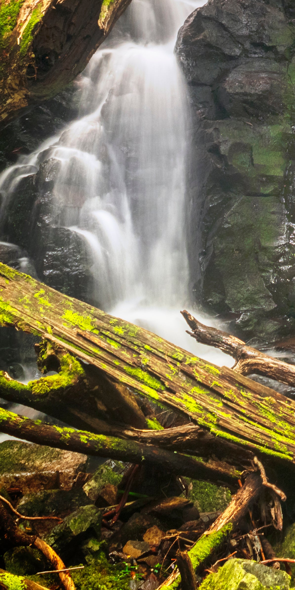 "Misty Wilson Falls" - Original Australian PanoScape Fine Art Photograph