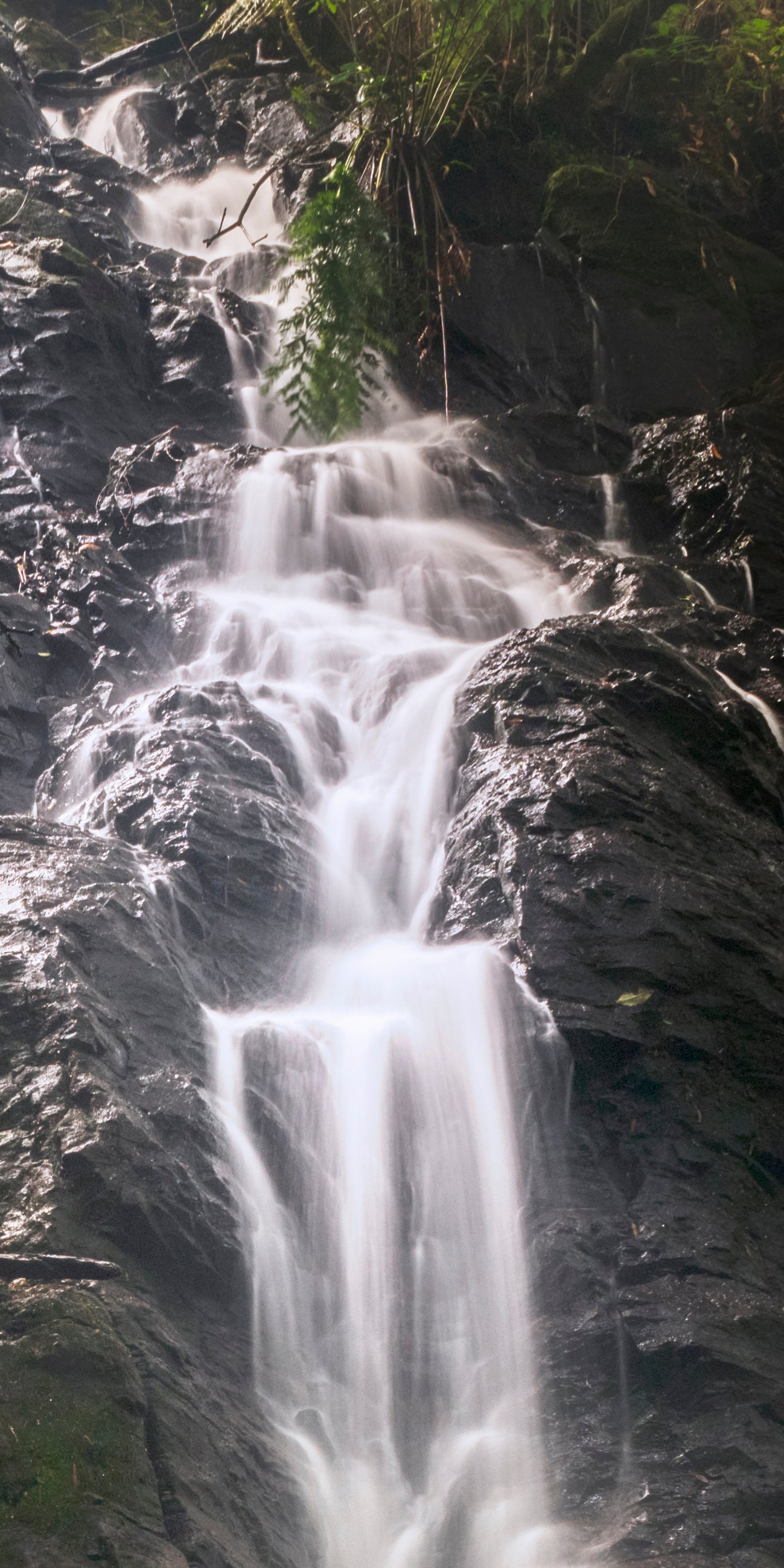 "Misty Wilson Falls" - Original Australian PanoScape Fine Art Photograph