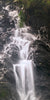 Misty Wilson Falls