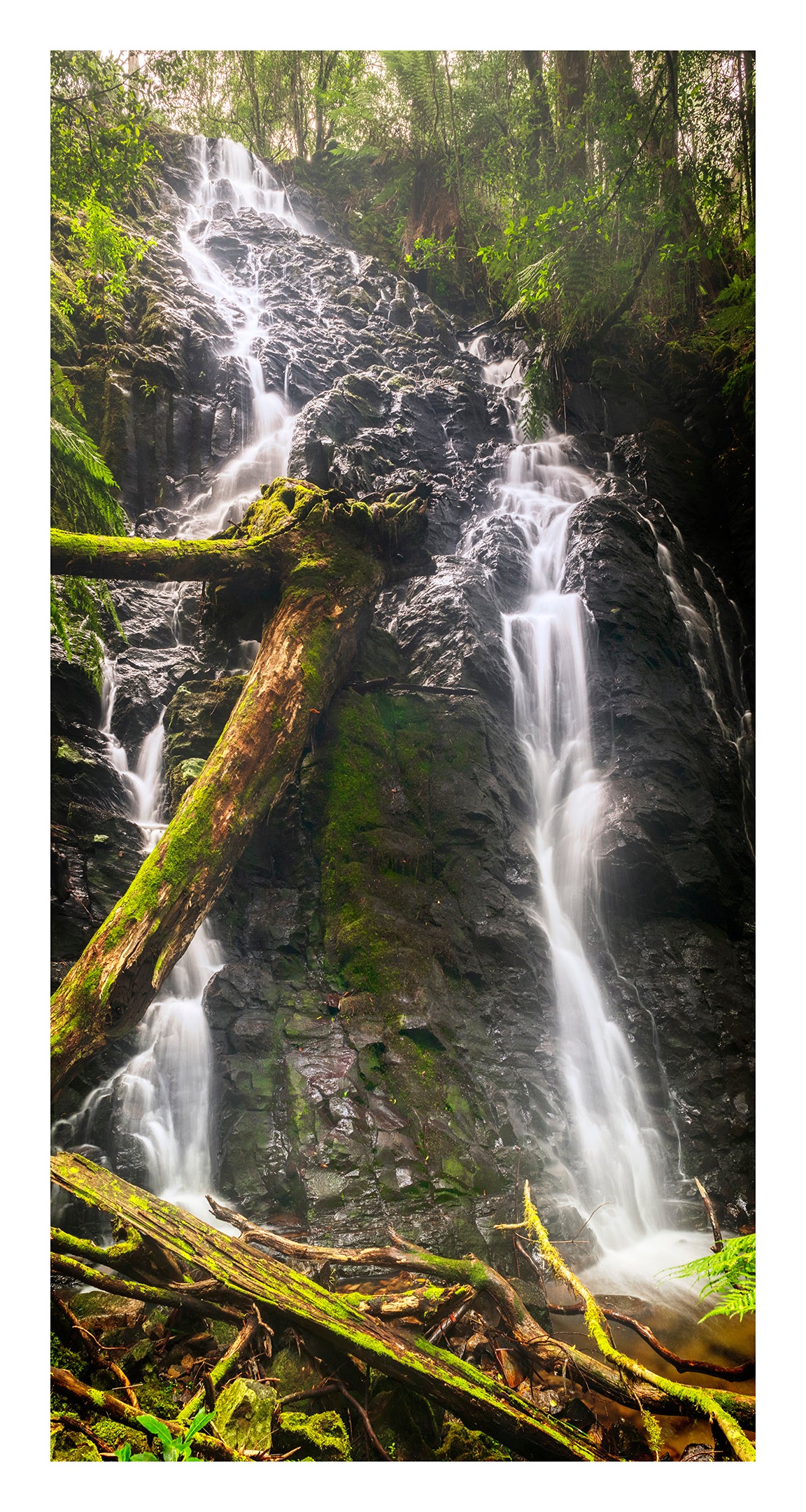 "Misty Wilson Falls" - Original Australian PanoScape Fine Art Photograph