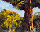 Peninsula Paddock