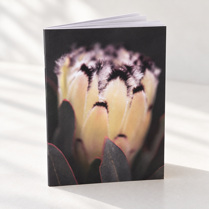 Poise — Botanical Notebook