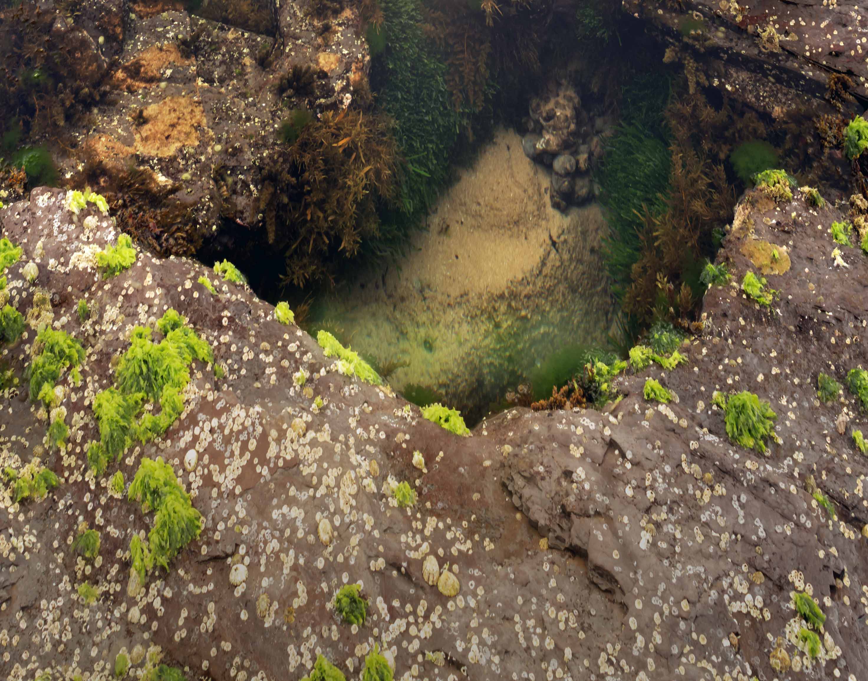 Reflective Pool - Limited Edition