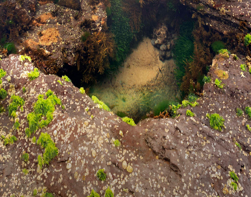 Reflective Pool - Limited Edition