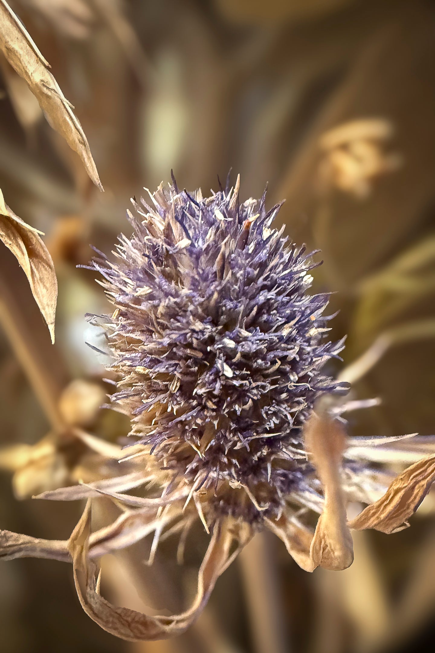 Through the Looking Glass #1